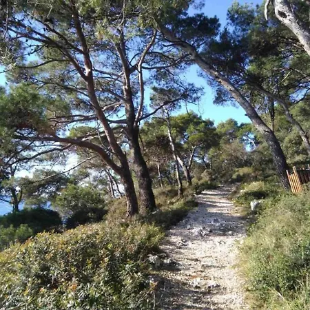 In Near Verudela * Pula
